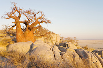 博茨瓦纳夏卡维机场三字代码(SWX),夏卡维机场(Shakawe airport)四字码,博茨瓦纳机场三字码查询